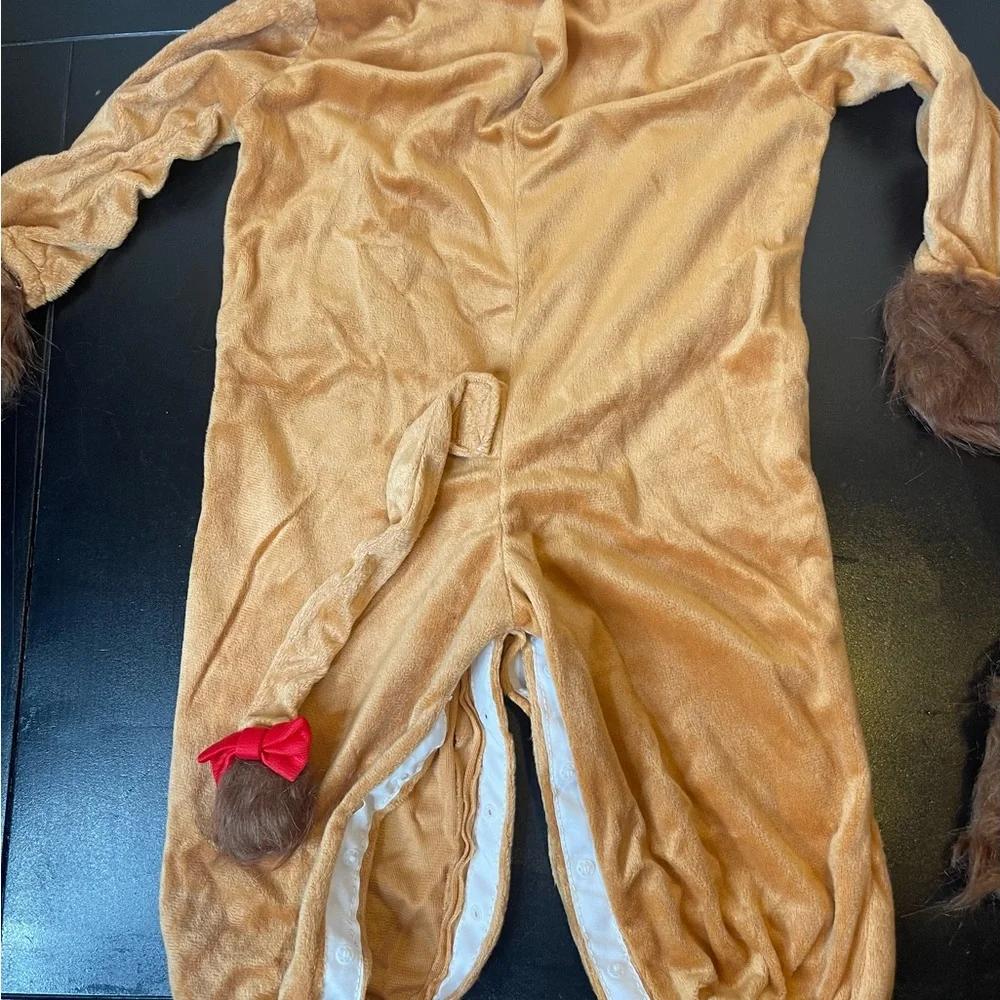 Adorable Lion Costume for Kids